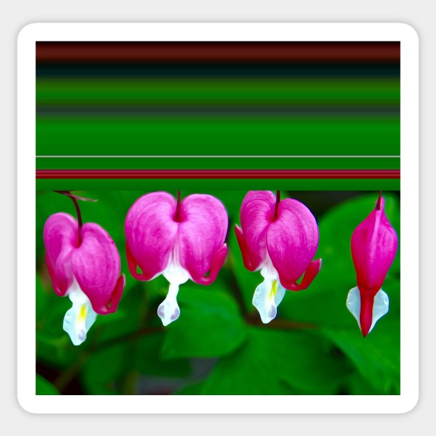 Bleeding Hearts and Stripes Sticker by DANAROPER